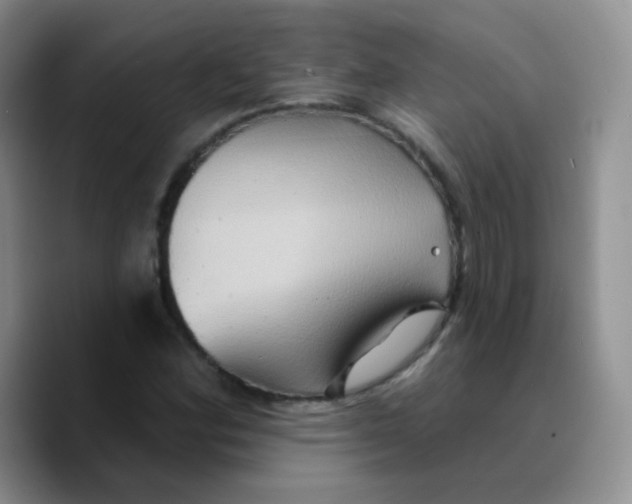 X0000089721164200707201815