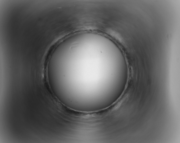 X0000089721165200707201815
