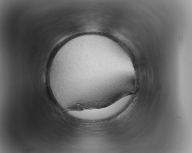 X0000089721166200707201815