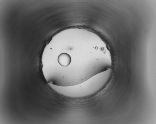 X0000089721169200707201815