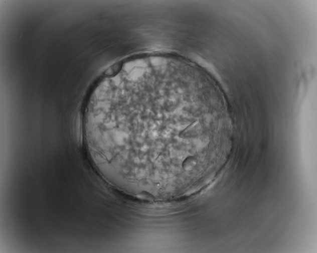 X0000089721171200707201815