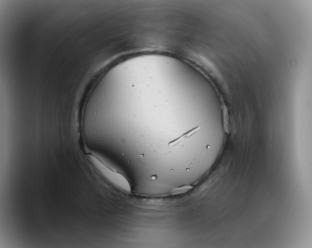 X0000089721172200707201815