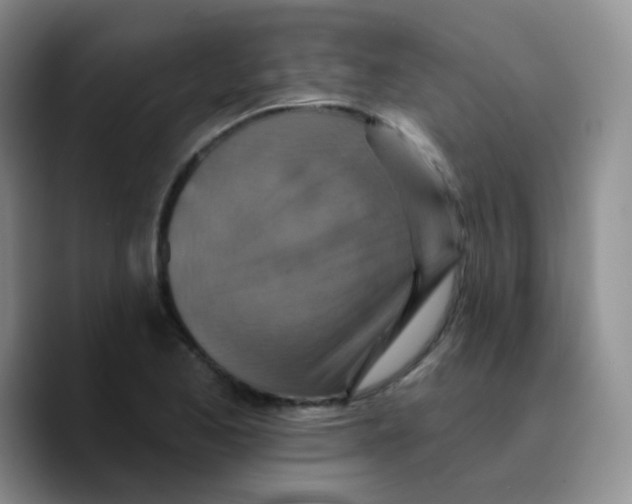 X0000089721173200707201815