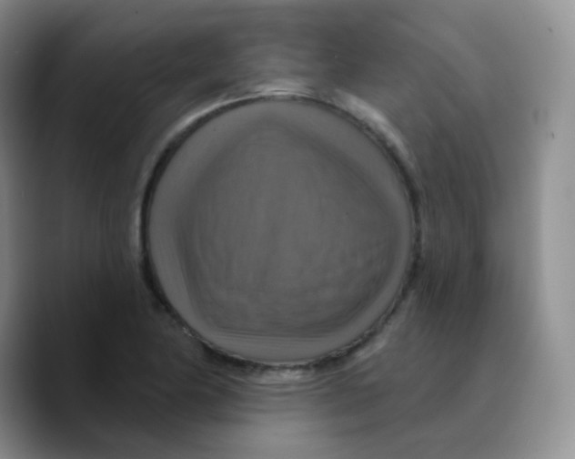 X0000089721174200707201815