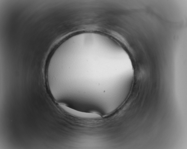 X0000089721176200707201815
