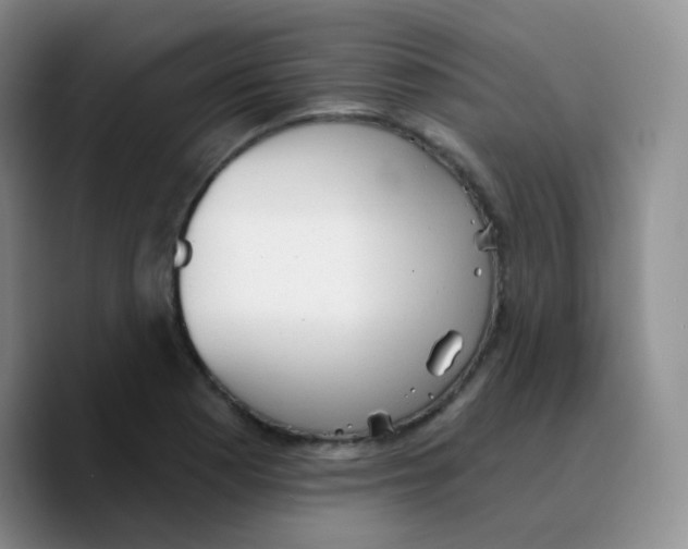 X0000089721177200707201815