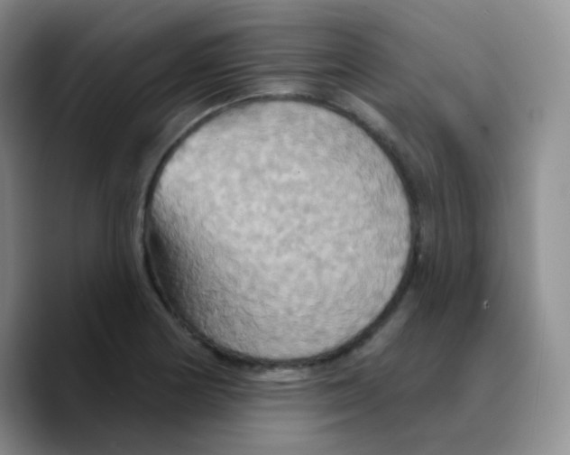 X0000089721178200707201815