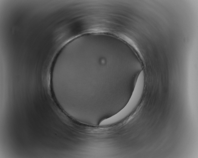 X0000089721179200707201815