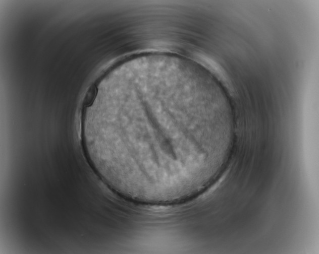 X0000089721180200707201814