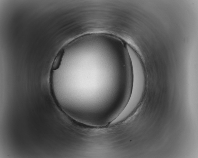 X0000089721181200707201814