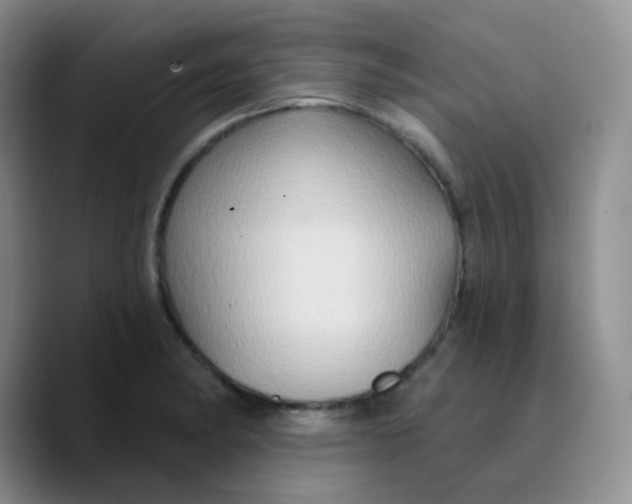 X0000089721182200707201814