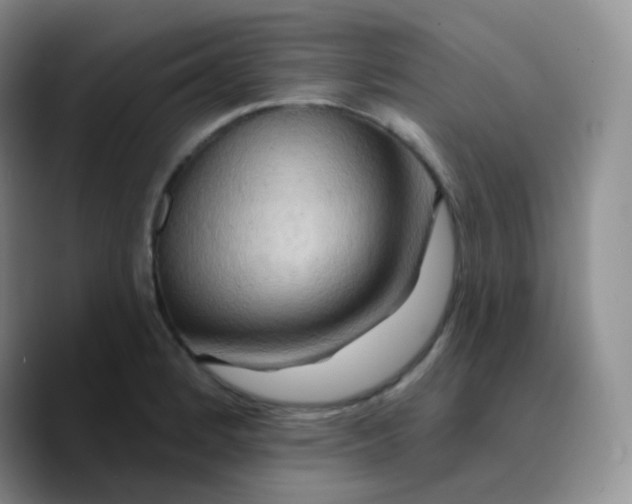 X0000089721184200707201814