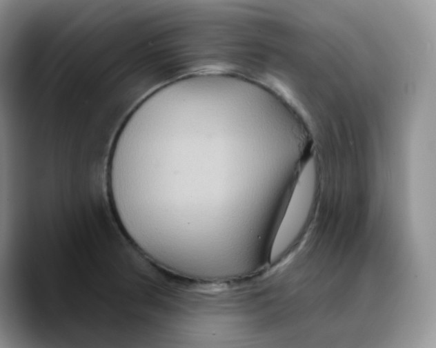 X0000089721186200707201814