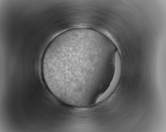 X0000089721187200707201814