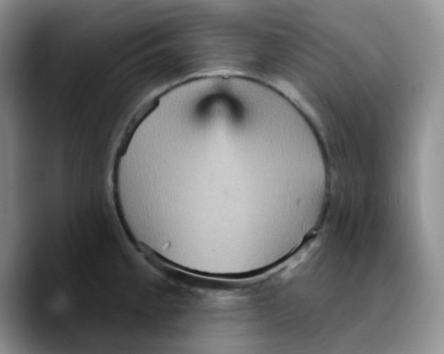 X0000089721189200707201814