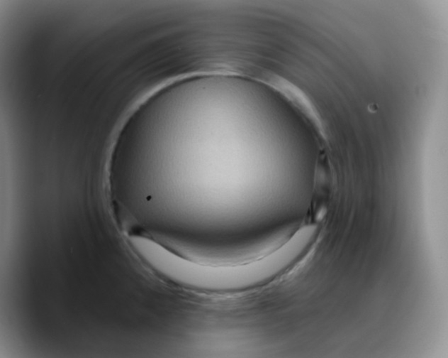 X0000089721192200707201814