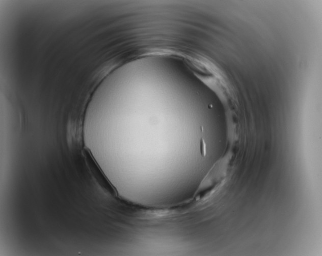 X0000089721193200707201814