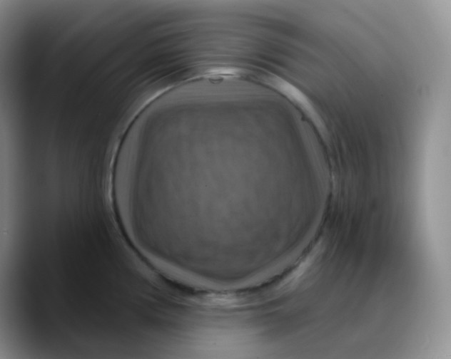 X0000089721194200707201814