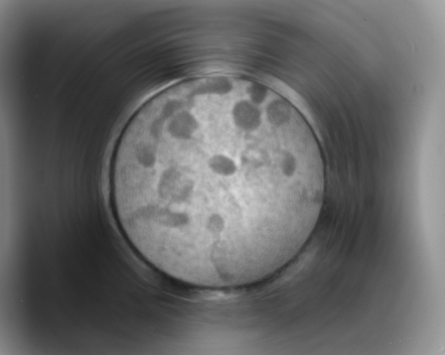 X0000089721195200707201814