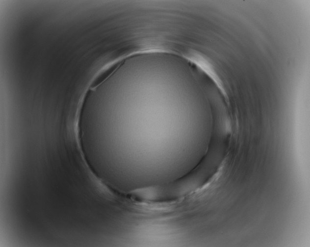X0000089721197200707201814