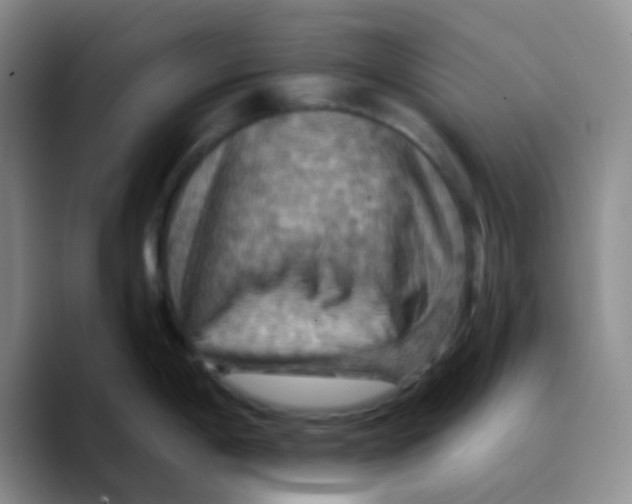 X0000089721198200707201814