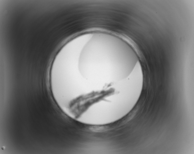 X0000089721199200707201814