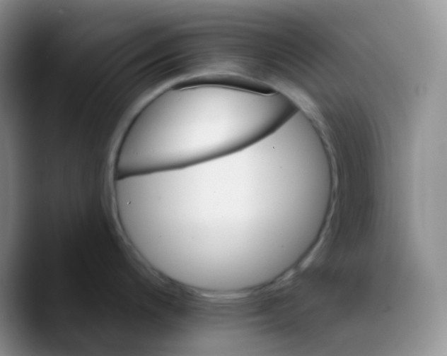 X0000089721200200707201814