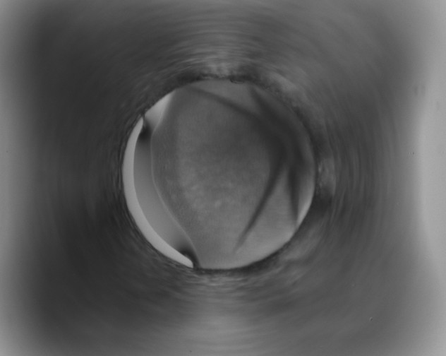 X0000089721202200707201814