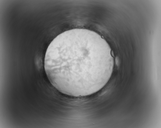 X0000089721203200707201814