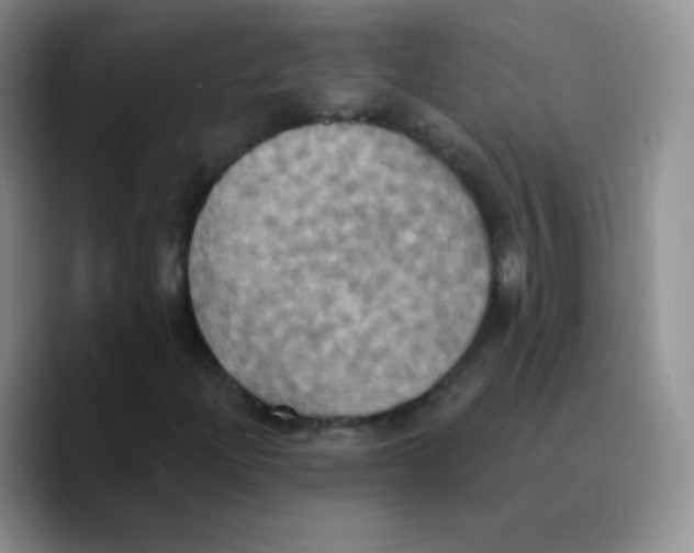 X0000089721204200707201814