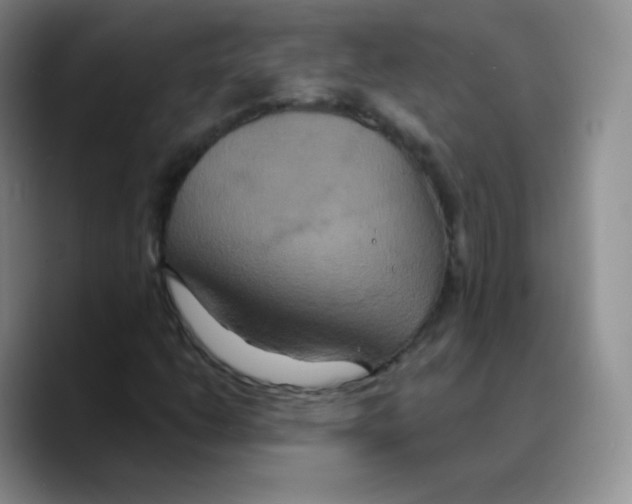 X0000089721206200707201814