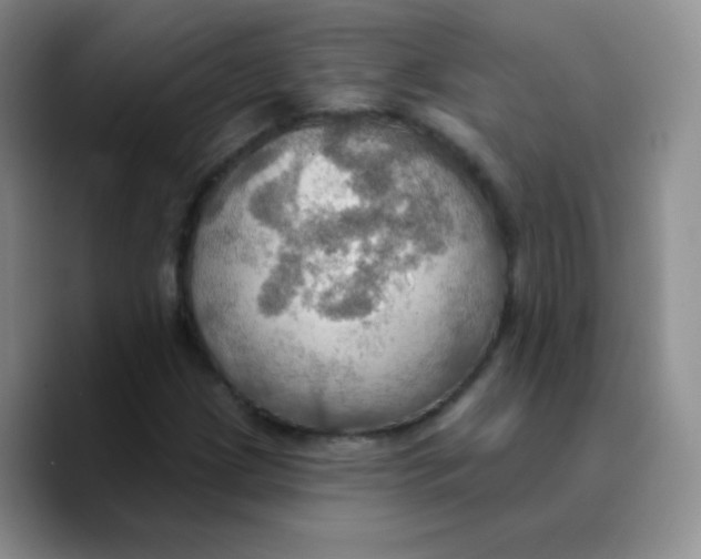 X0000089721209200707201814