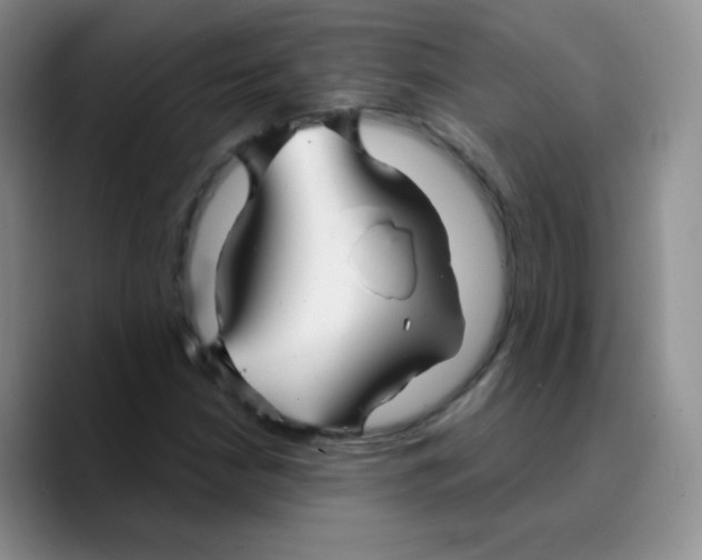 X0000089721210200707201814