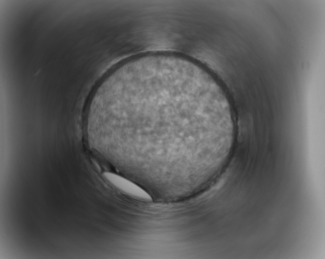 X0000089721212200707201814