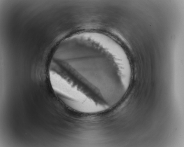 X0000089721213200707201814