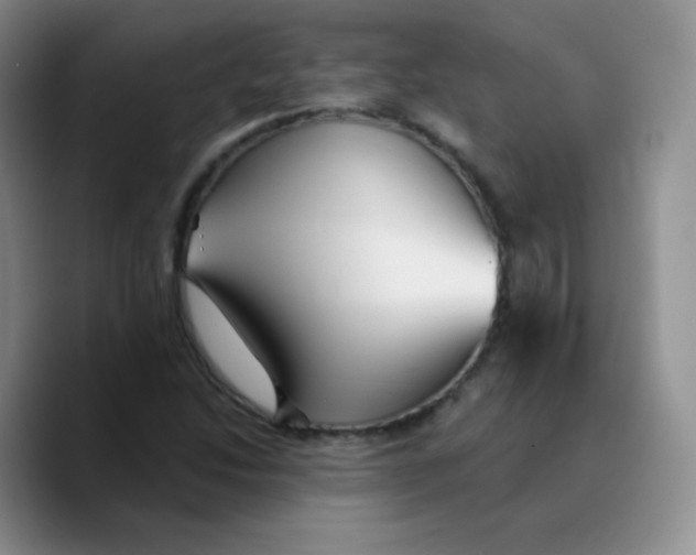 X0000089721214200707201814