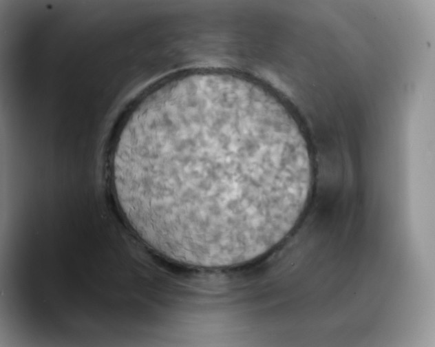 X0000089721215200707201814