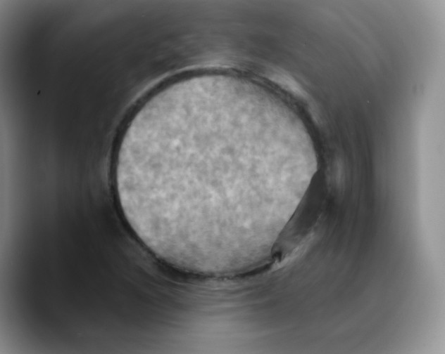X0000089721216200707201814