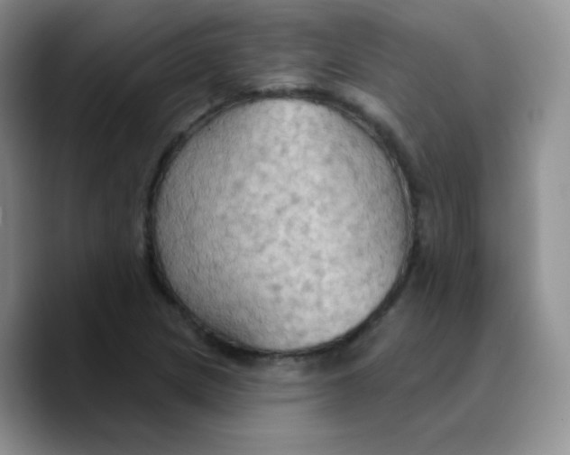 X0000089721217200707201814