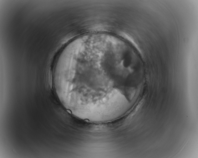 X0000089721219200707201814