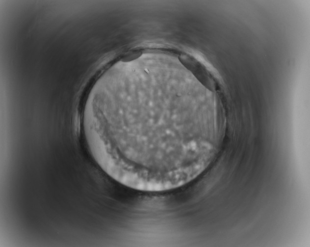 X0000089721221200707201814