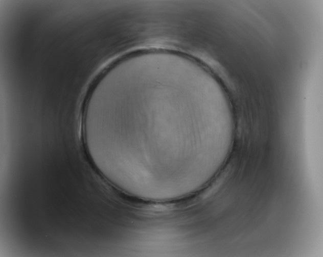 X0000089721224200707201814