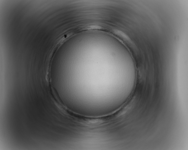 X0000089721225200707201814