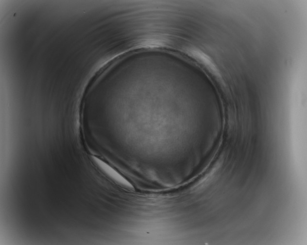 X0000089721226200707201814