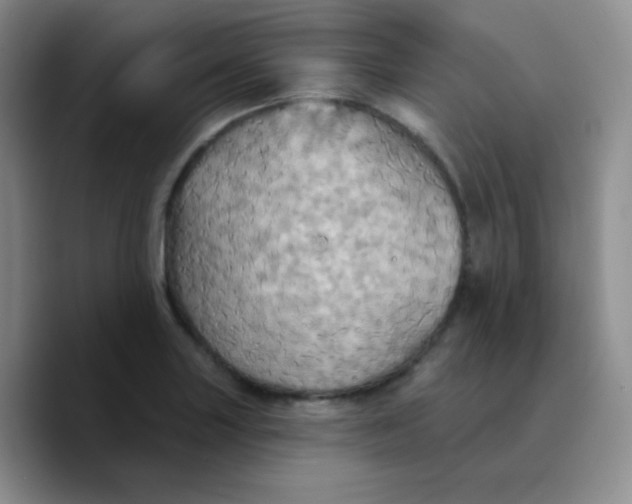 X0000089721227200707201814