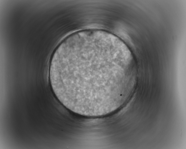 X0000089721228200707201814