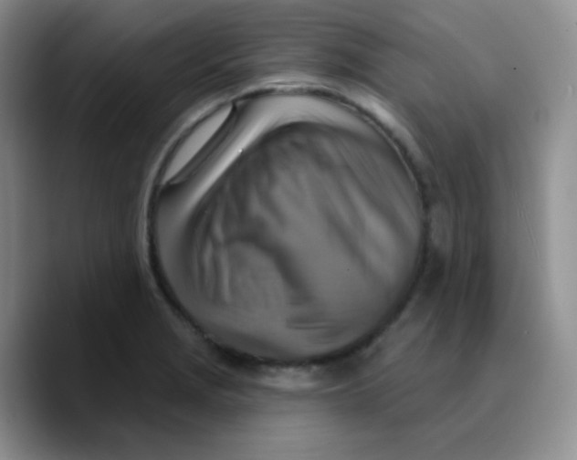 X0000089721229200707201814