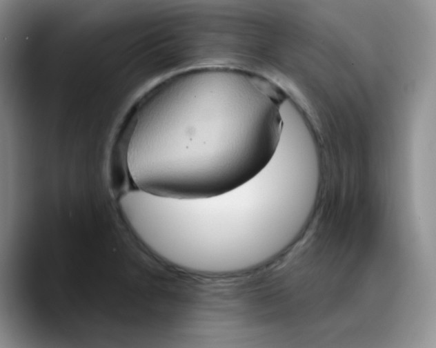 X0000089721230200707201814