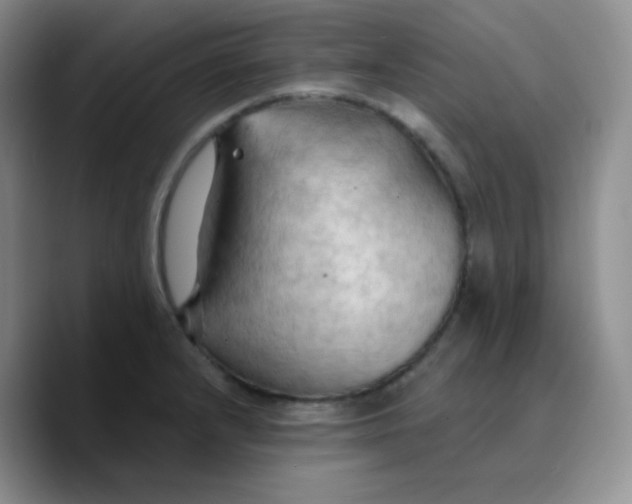 X0000089721232200707201814