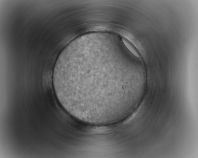 X0000089721233200707201814